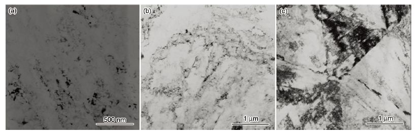 980℃固溶處理后室溫拉伸變形組織的TEM像