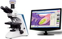BK系列臨床、實驗室生物顯微鏡